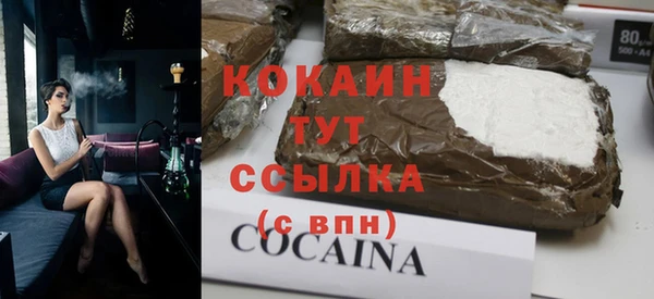 молекула духа Алексин
