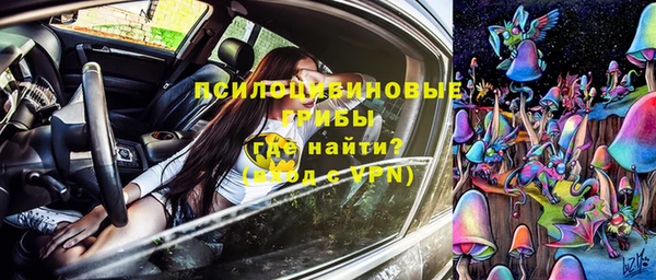 молекула духа Алексин